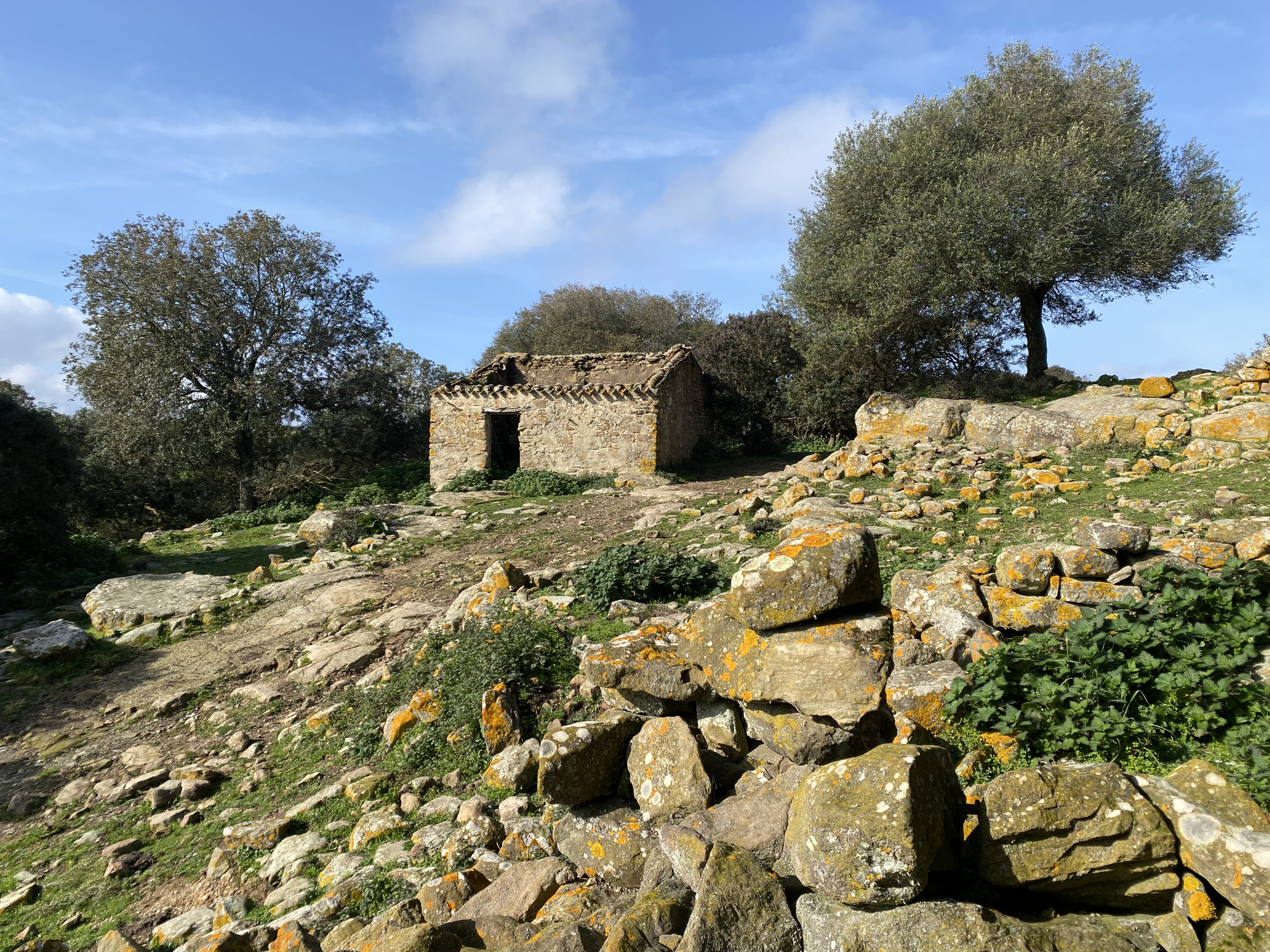 Ancient sheepfold in S'Ilixi Durci